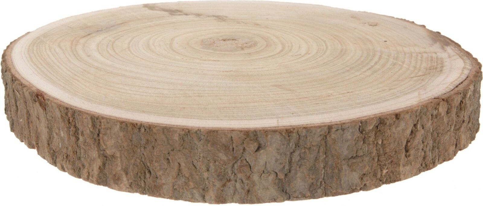 Natural Paulownia Wood Log Slice Large Tree Slice Centerpiece Stand