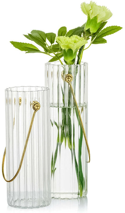 Set Of 2 Clear Glass Flower Vase Decorative Cylinder Bud Vases With Metal Handle